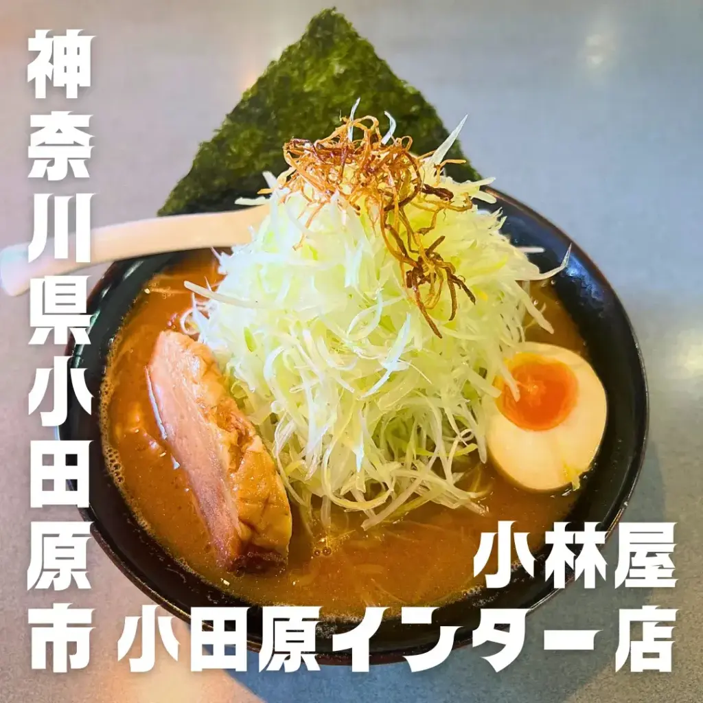 北海道ラーメン小林屋小田原インター店｜神奈川県小田原市